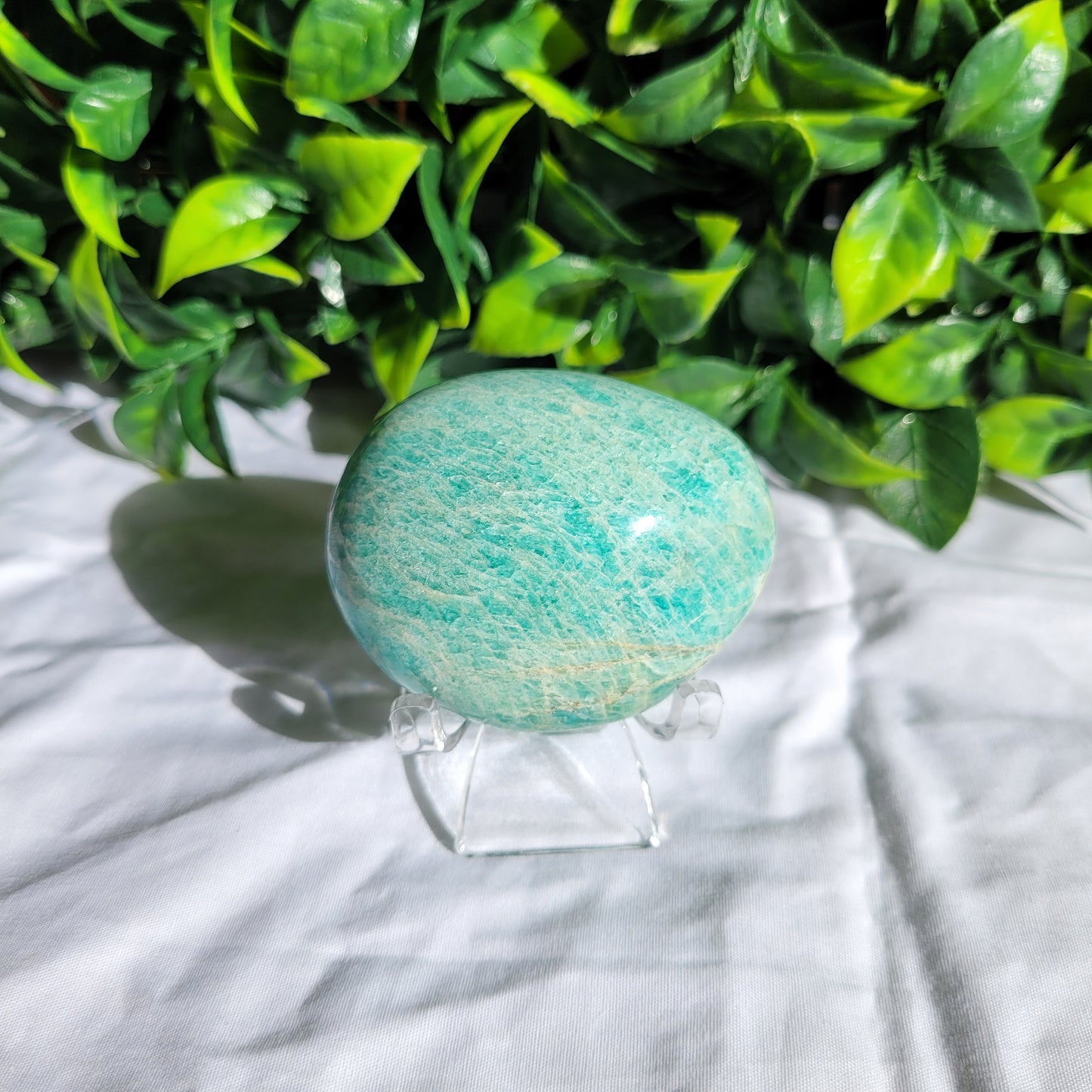 Amazonite Puffy Palm