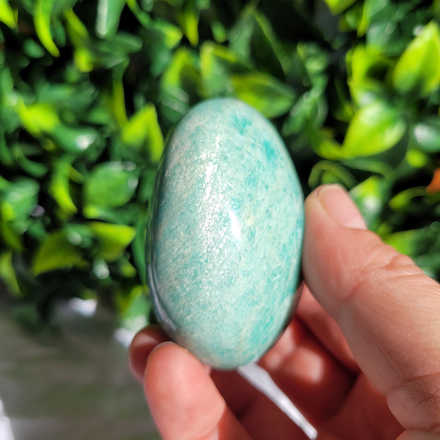 Amazonite Puffy Palm