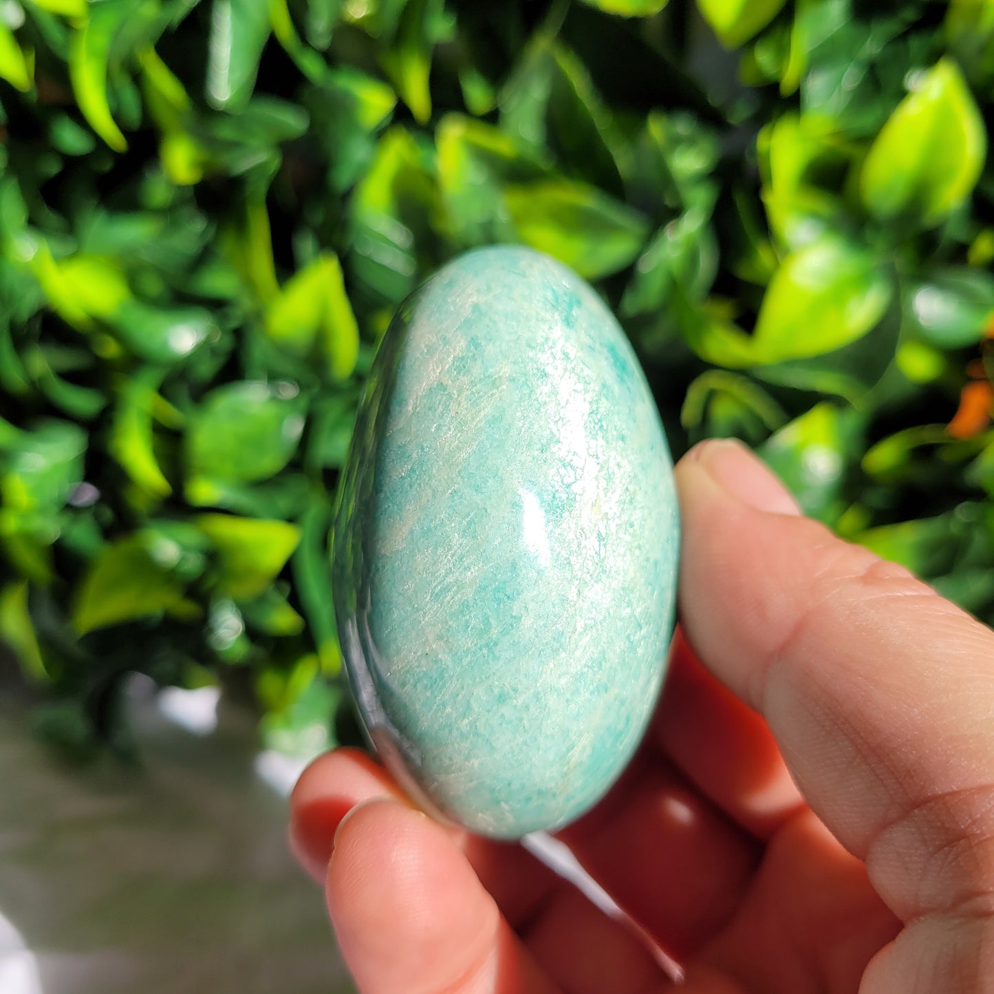 Amazonite Puffy Palm