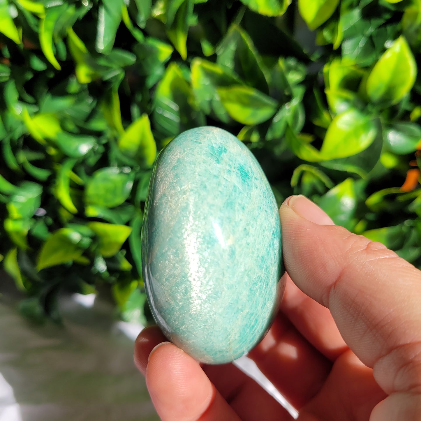 Amazonite Puffy Palm