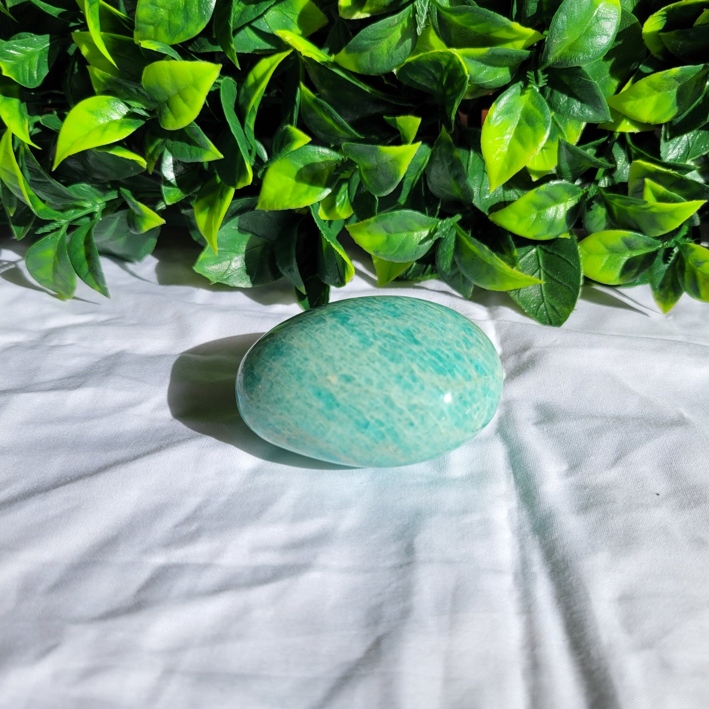 Amazonite Puffy Palm