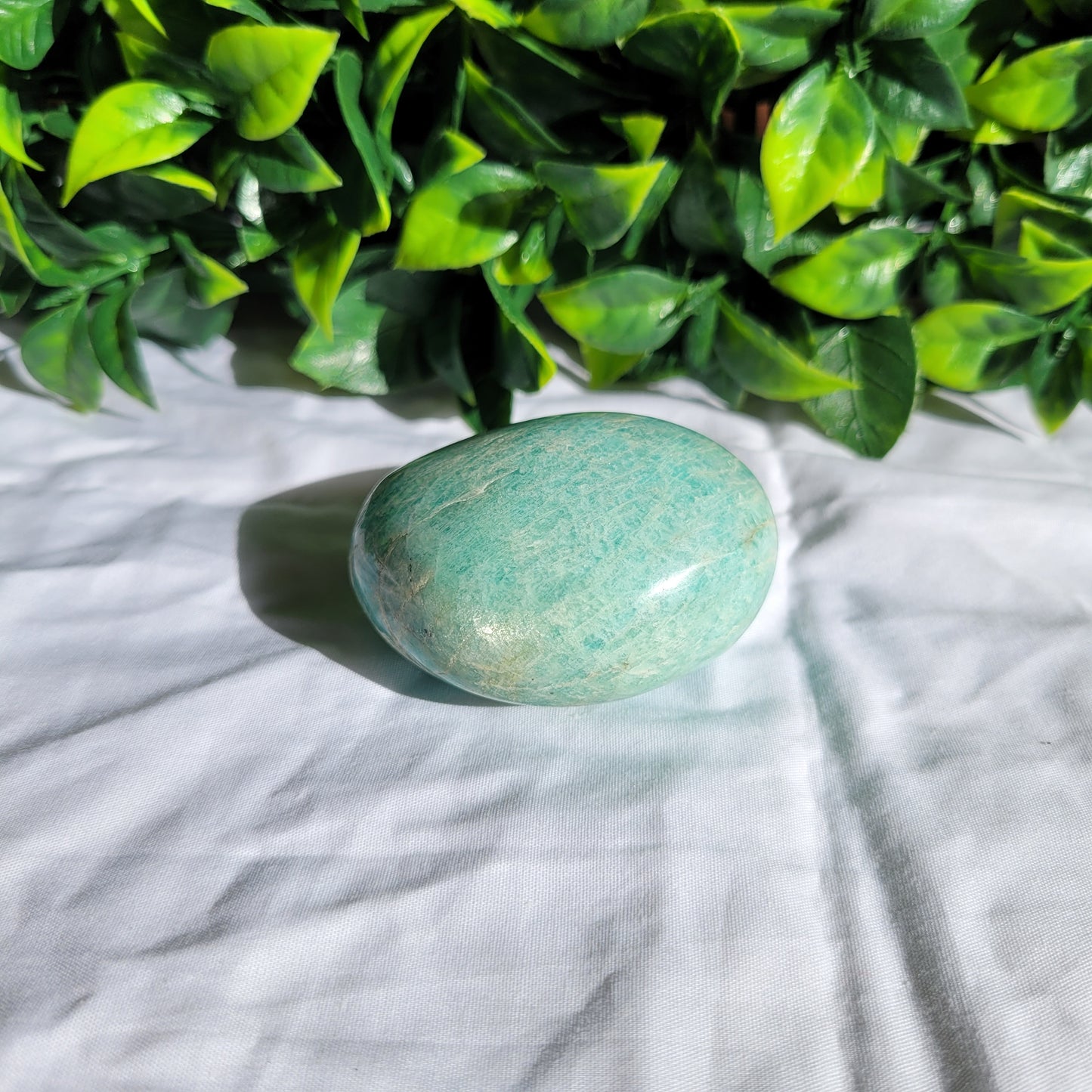 Amazonite Puffy Palm