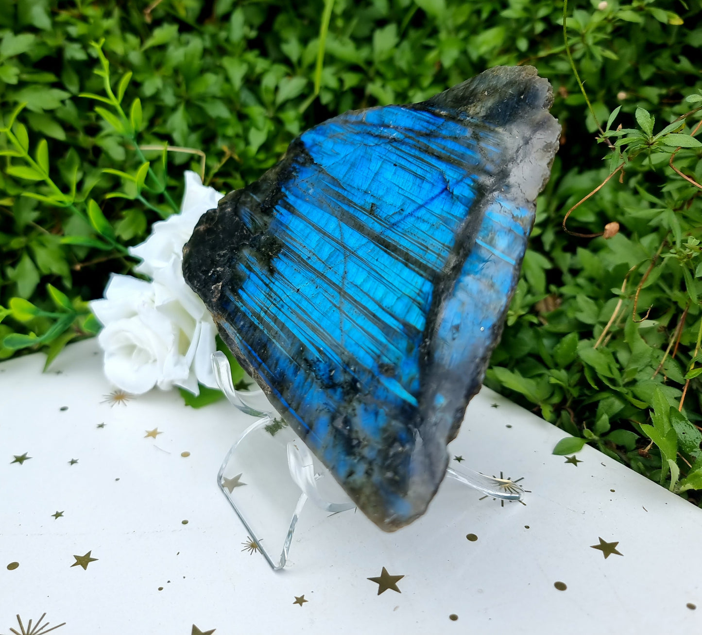 Labradorite Raw/Polished Free-Form