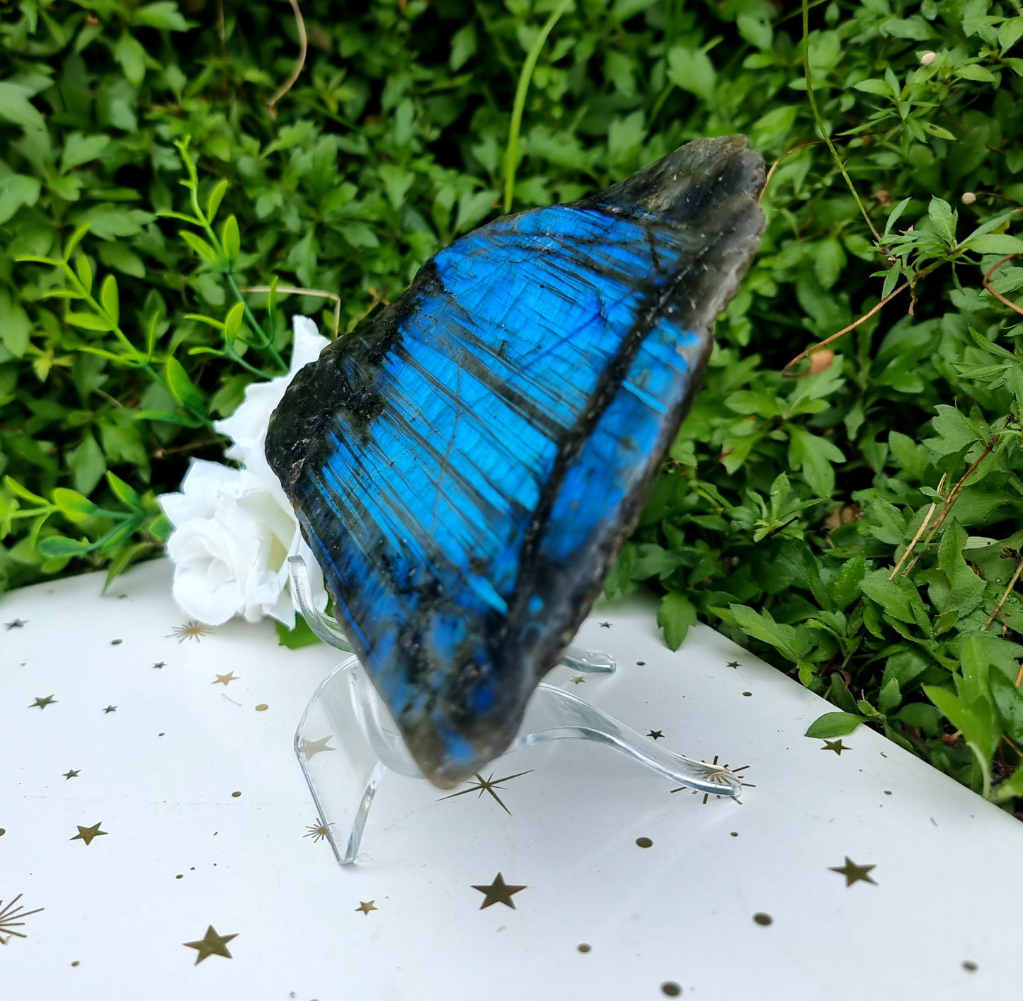 Labradorite Raw/Polished Free-Form