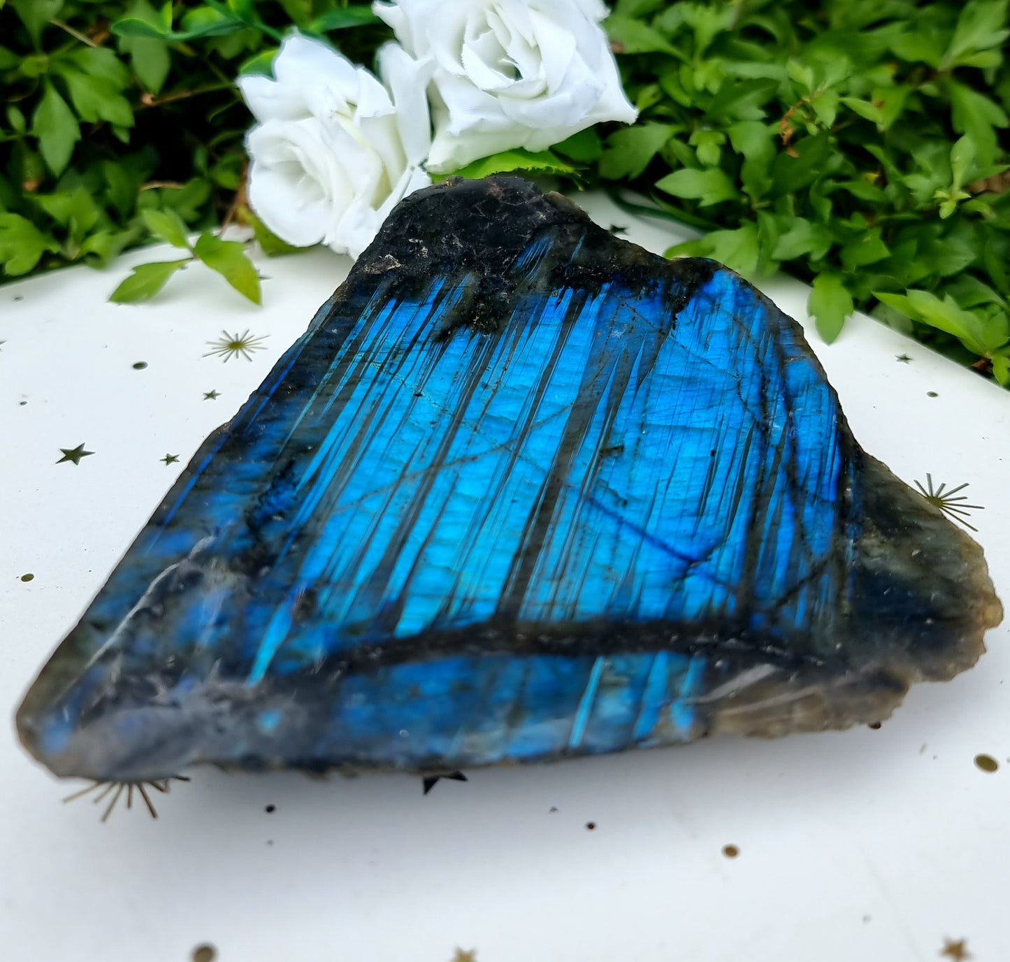 Labradorite Raw/Polished Free-Form