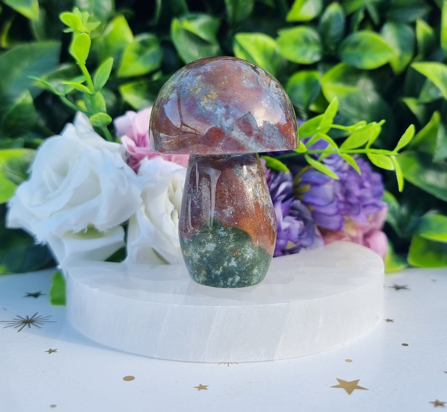 Ocean Jasper Mushroom