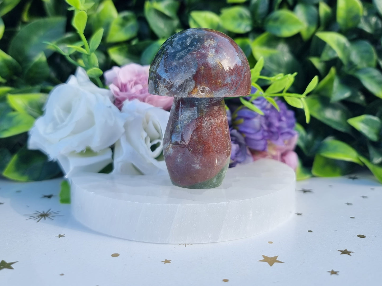 Ocean Jasper Mushroom