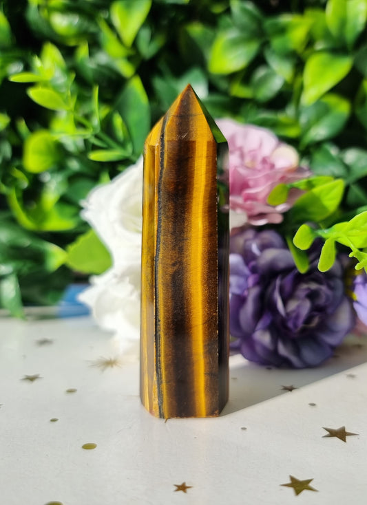 Tigers Eye Point