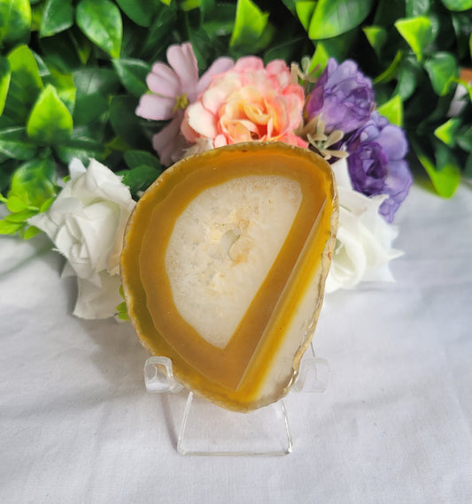 Dyed Yellow Agate Slice