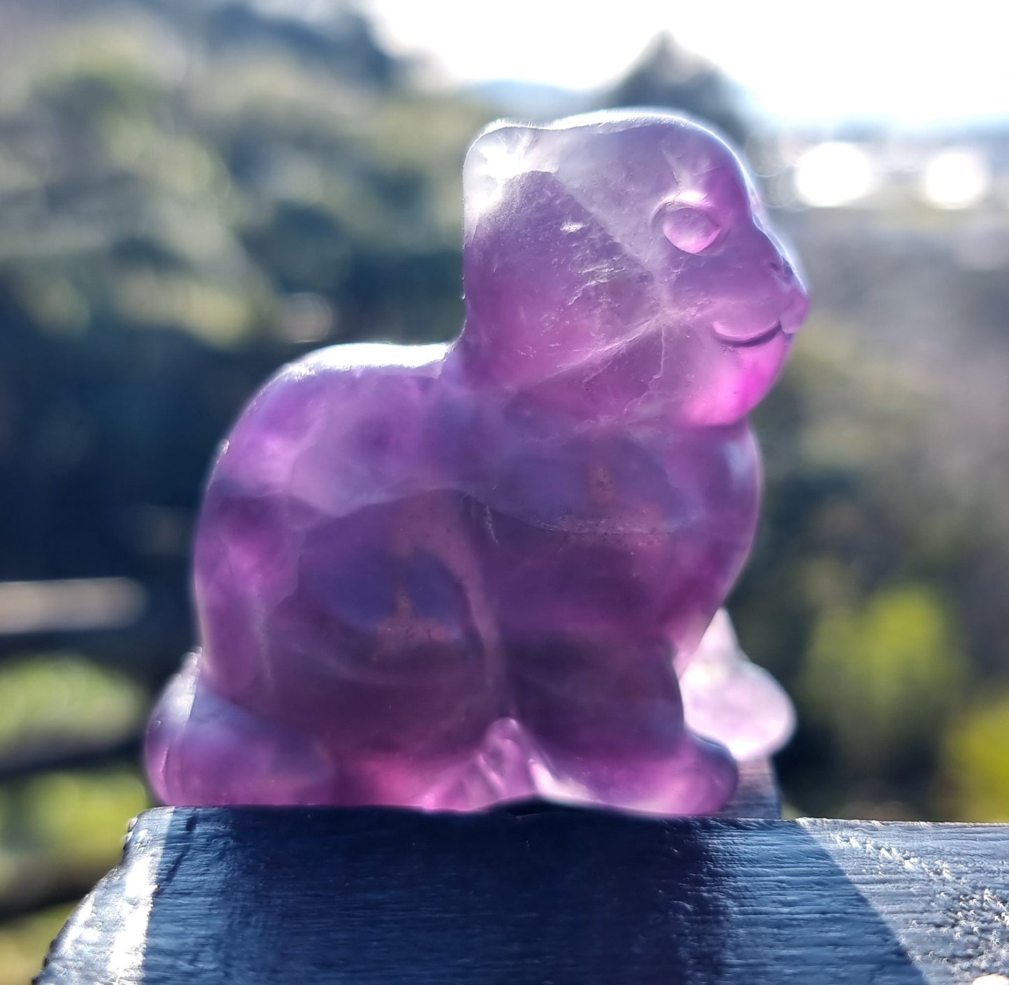 Purple Fluorite Cat