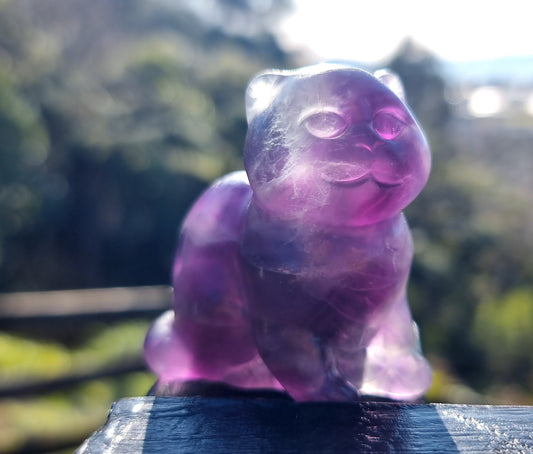 Purple Fluorite Cat