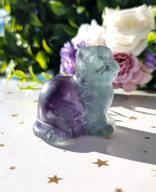 Mixed Fluorite Cat