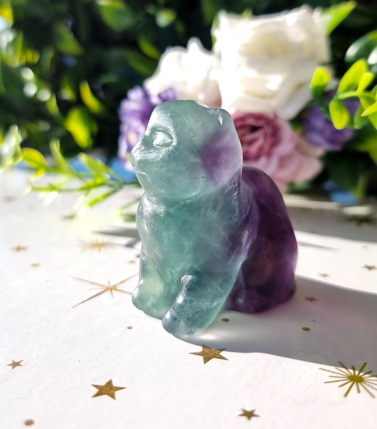 Mixed Fluorite Cat