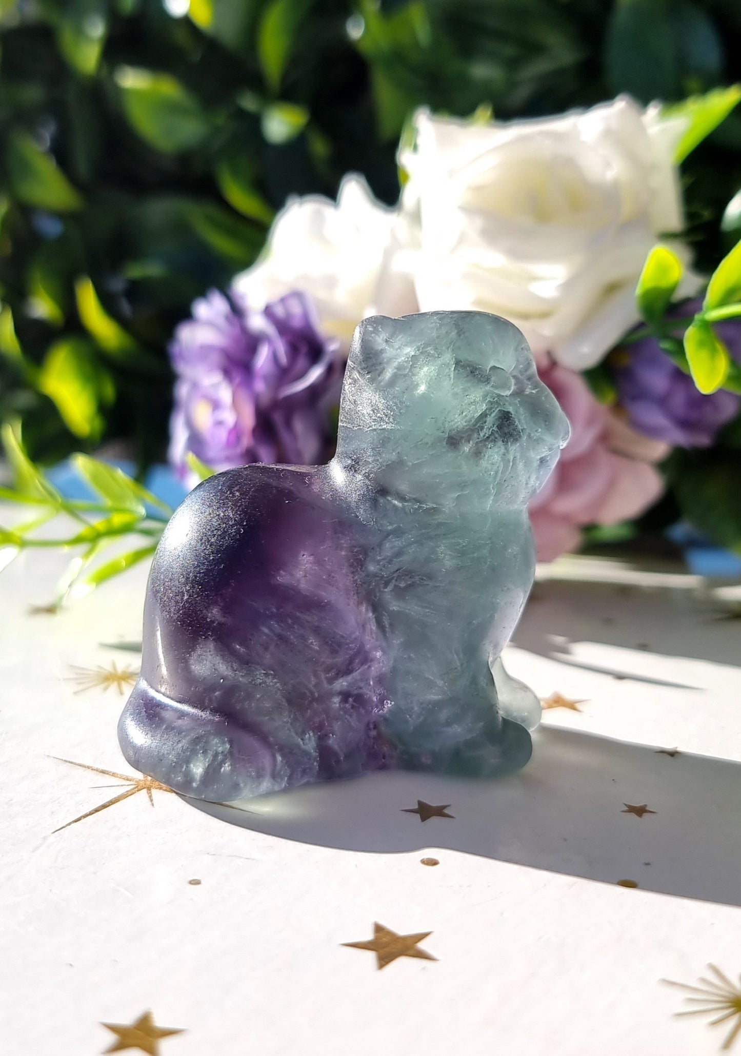 Mixed Fluorite Cat