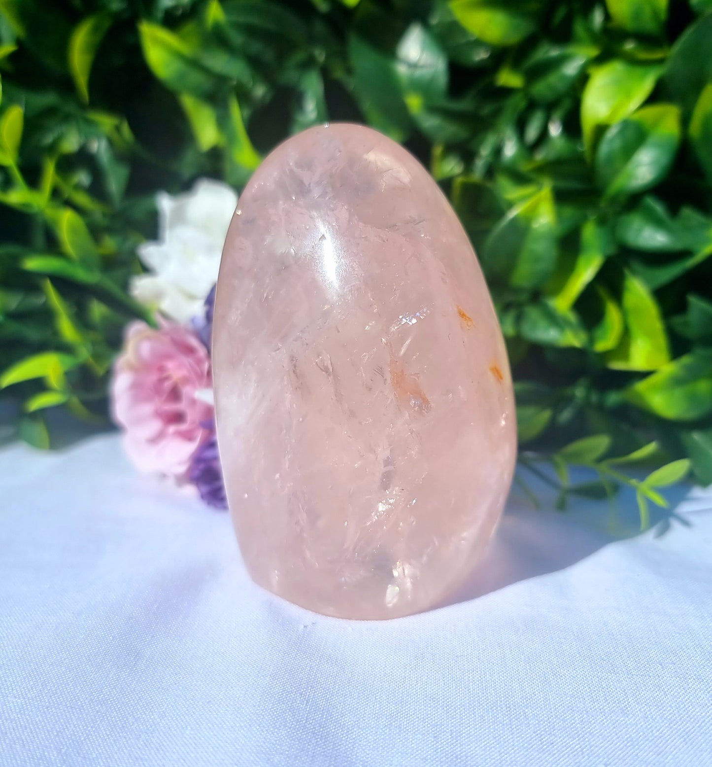 Rose Quartz star flash Free-form