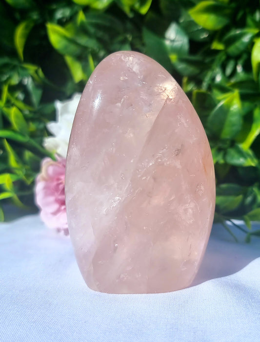 Rose Quartz star flash Free-form