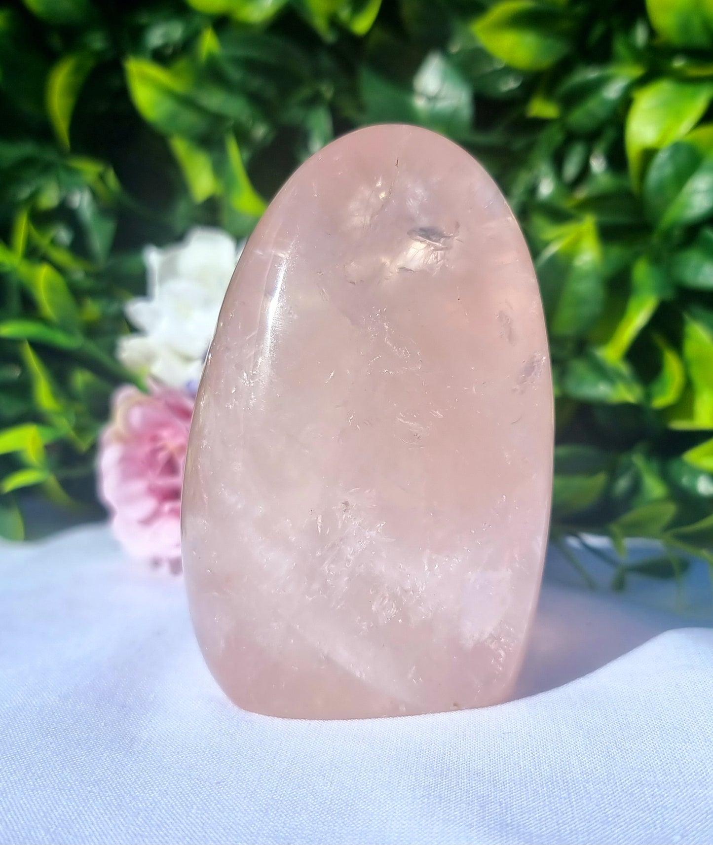 Rose Quartz star flash Free-form