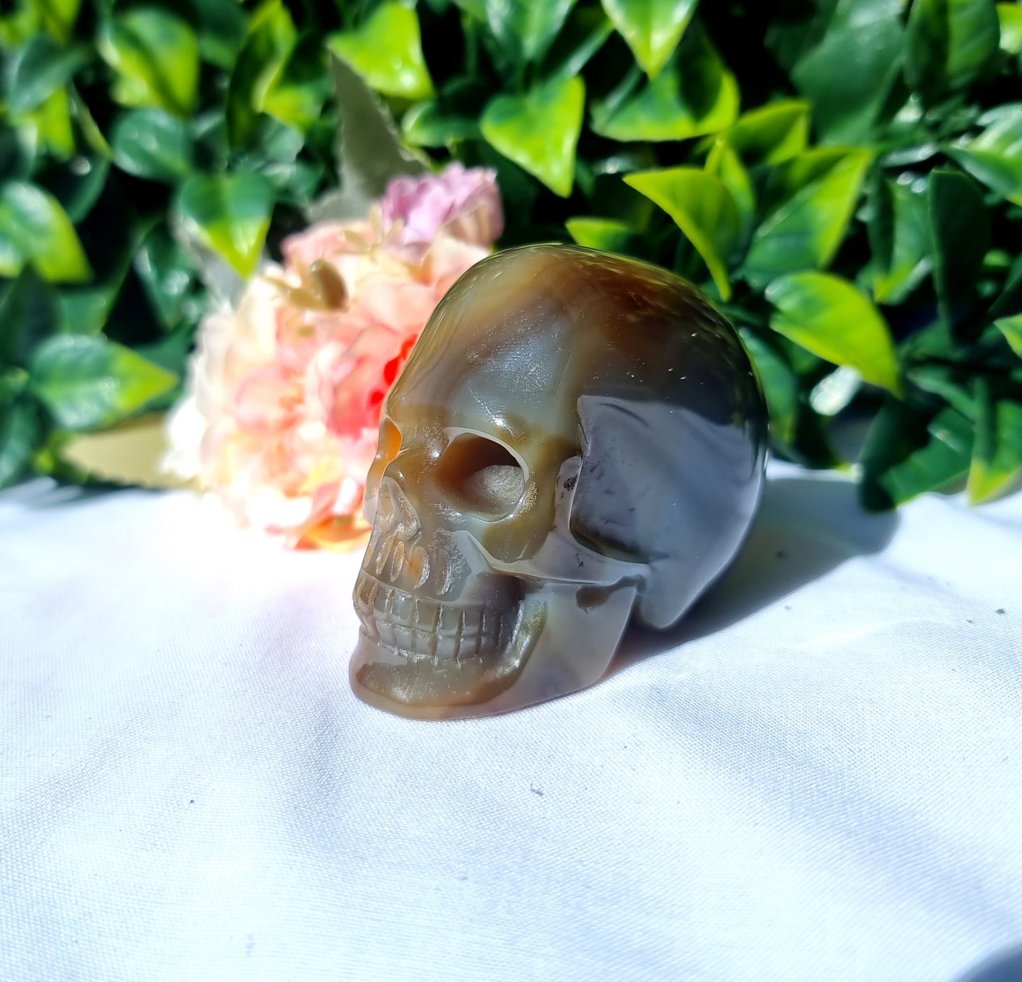 Carnelian Agate Skull