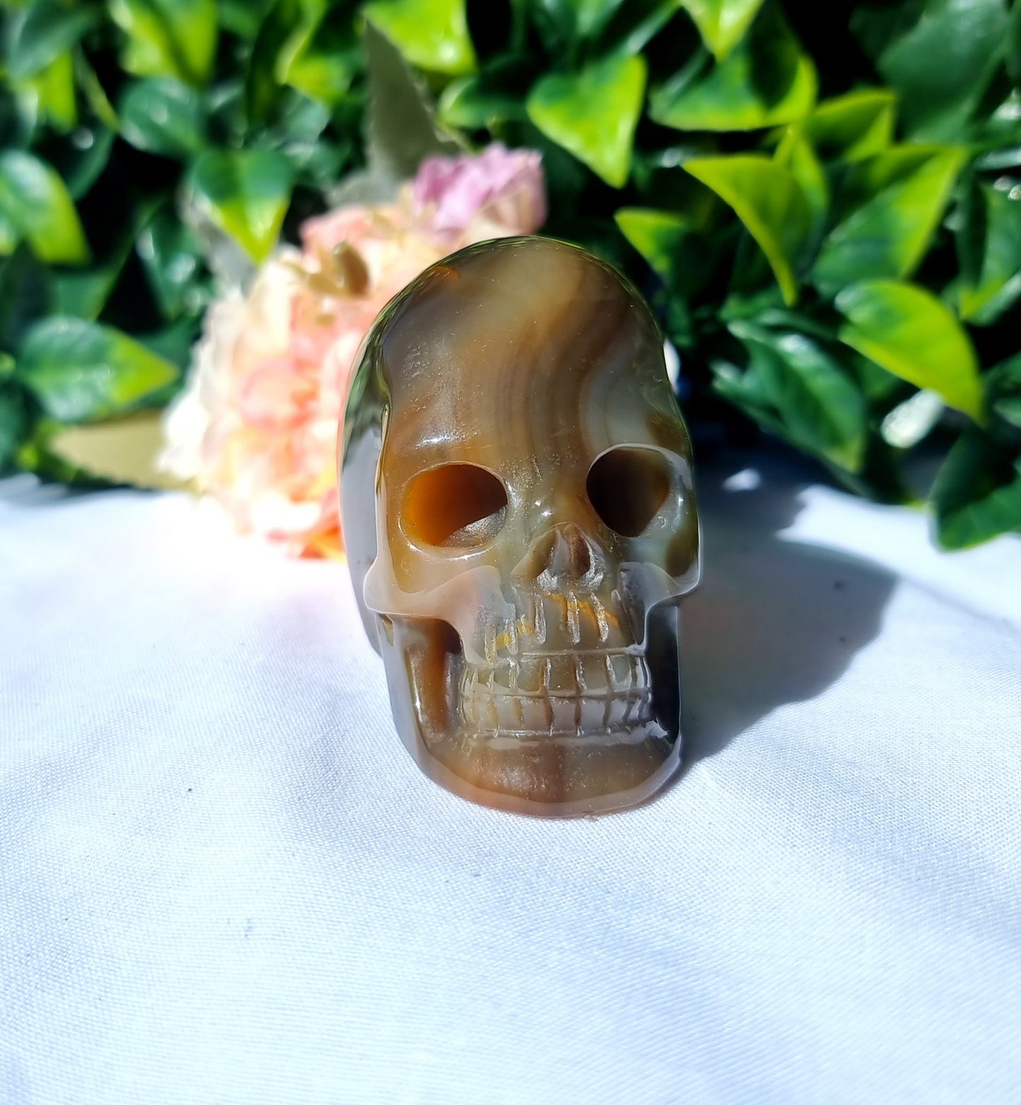 Carnelian Agate Skull