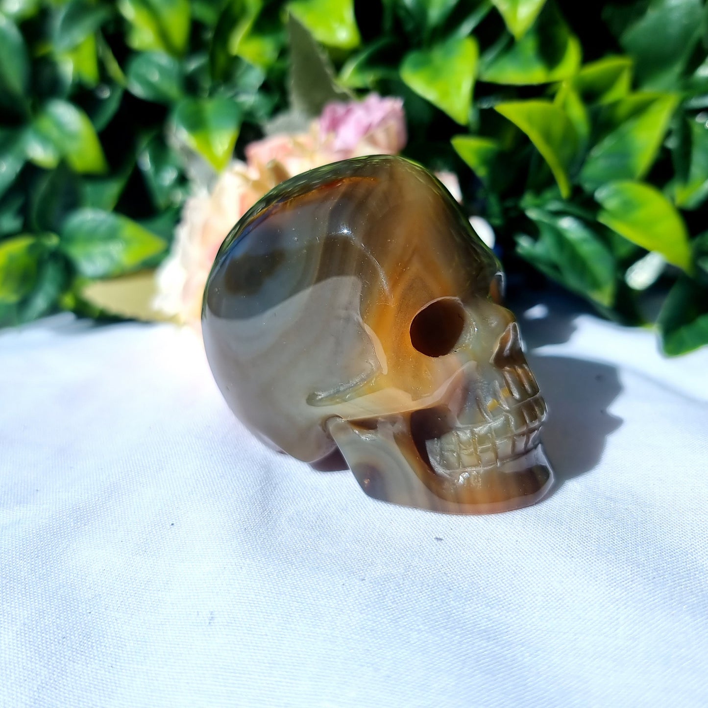 Carnelian Agate Skull