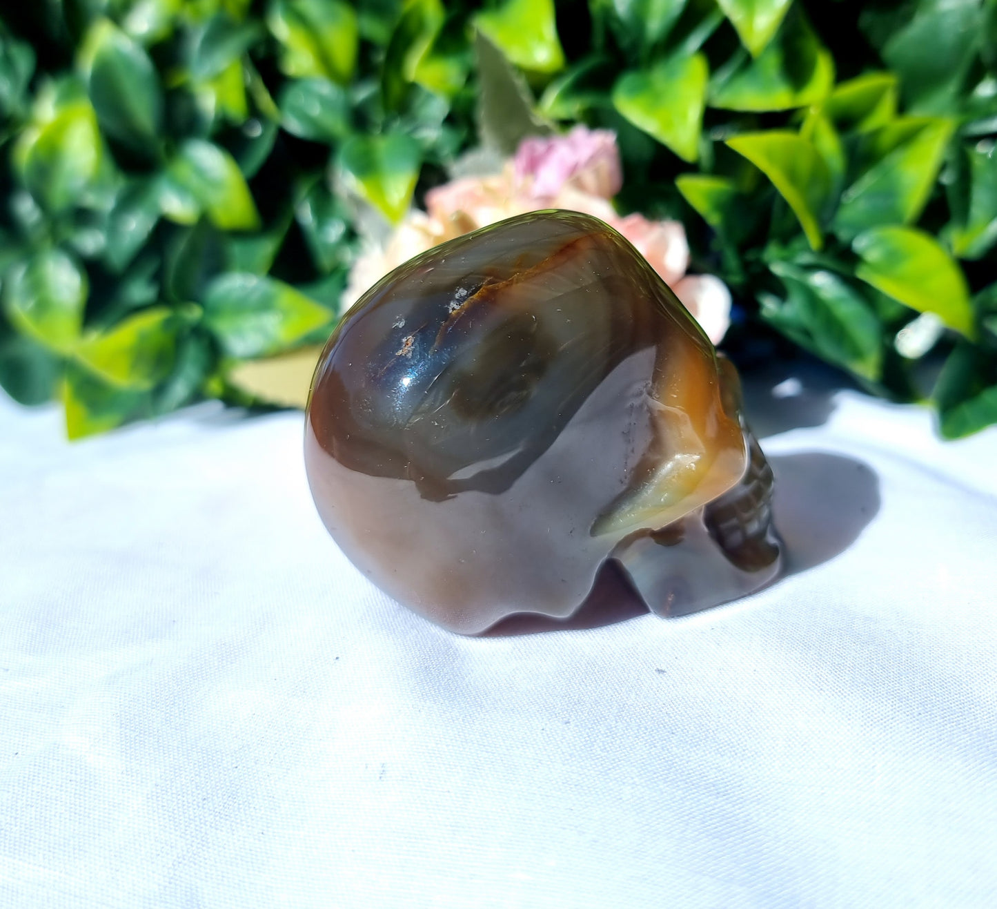 Carnelian Agate Skull