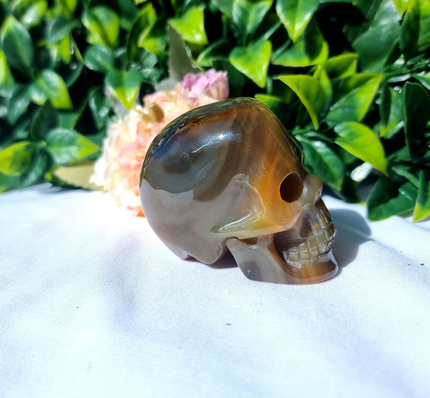 Carnelian Agate Skull