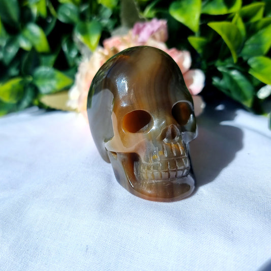 Carnelian Agate Skull