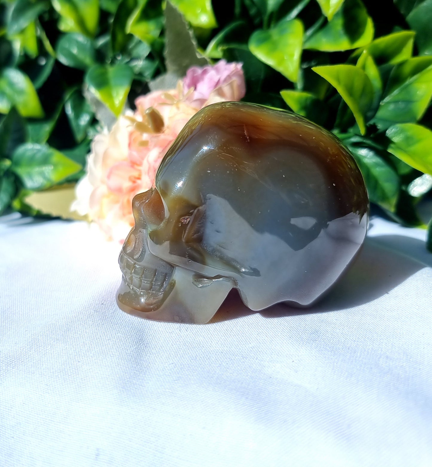 Carnelian Agate Skull