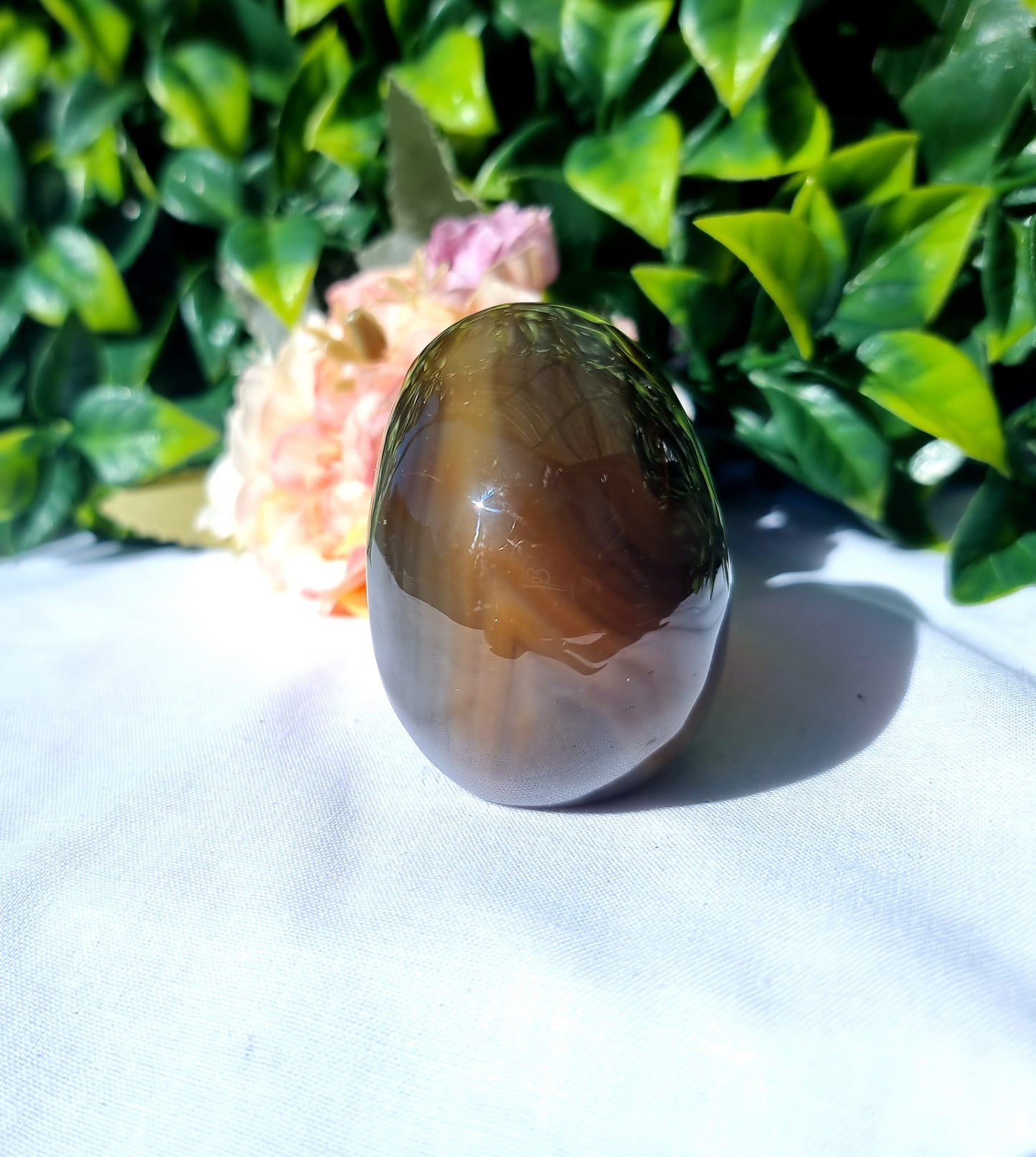 Carnelian Agate Skull