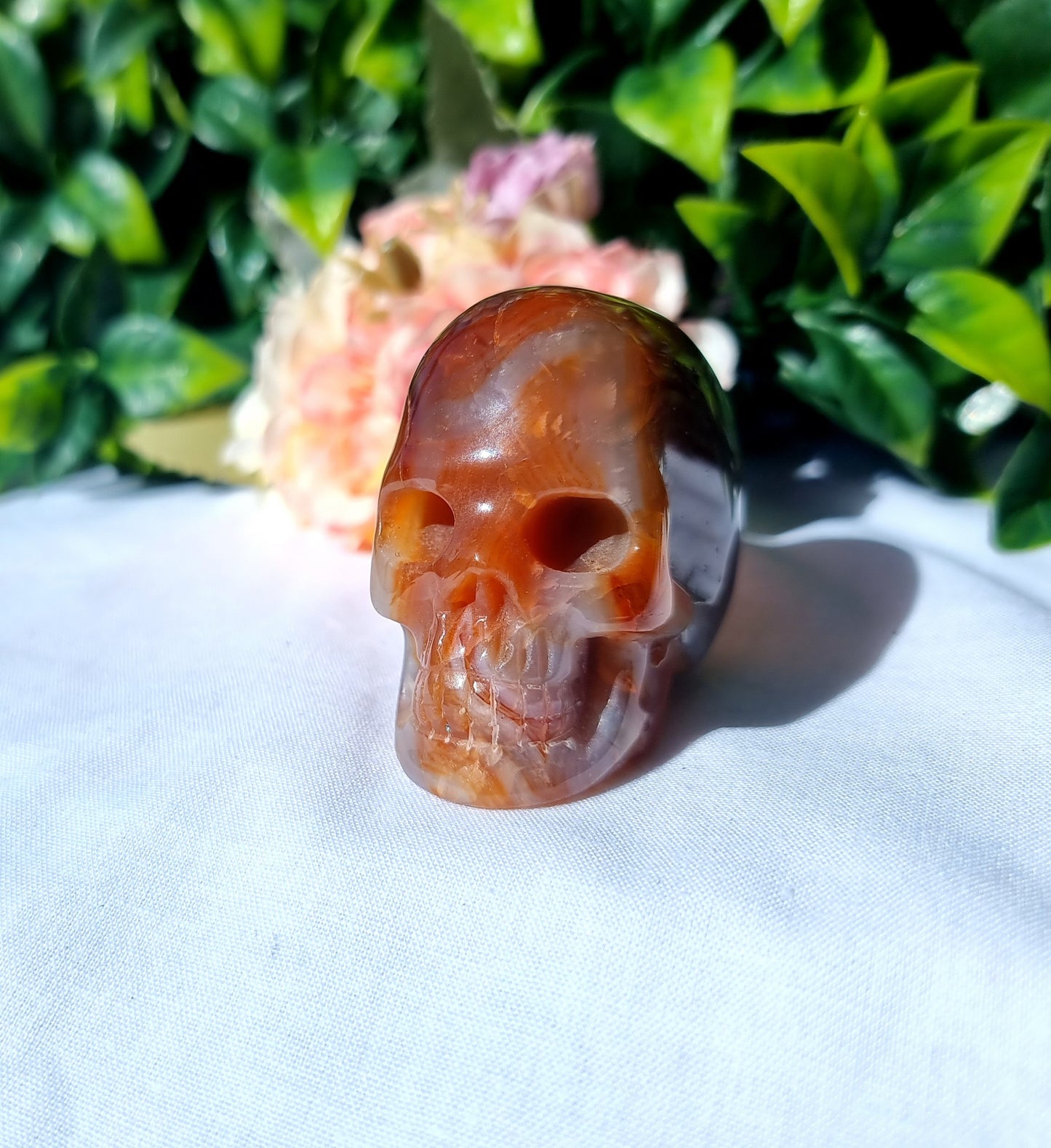 Carnelian Agate Skull