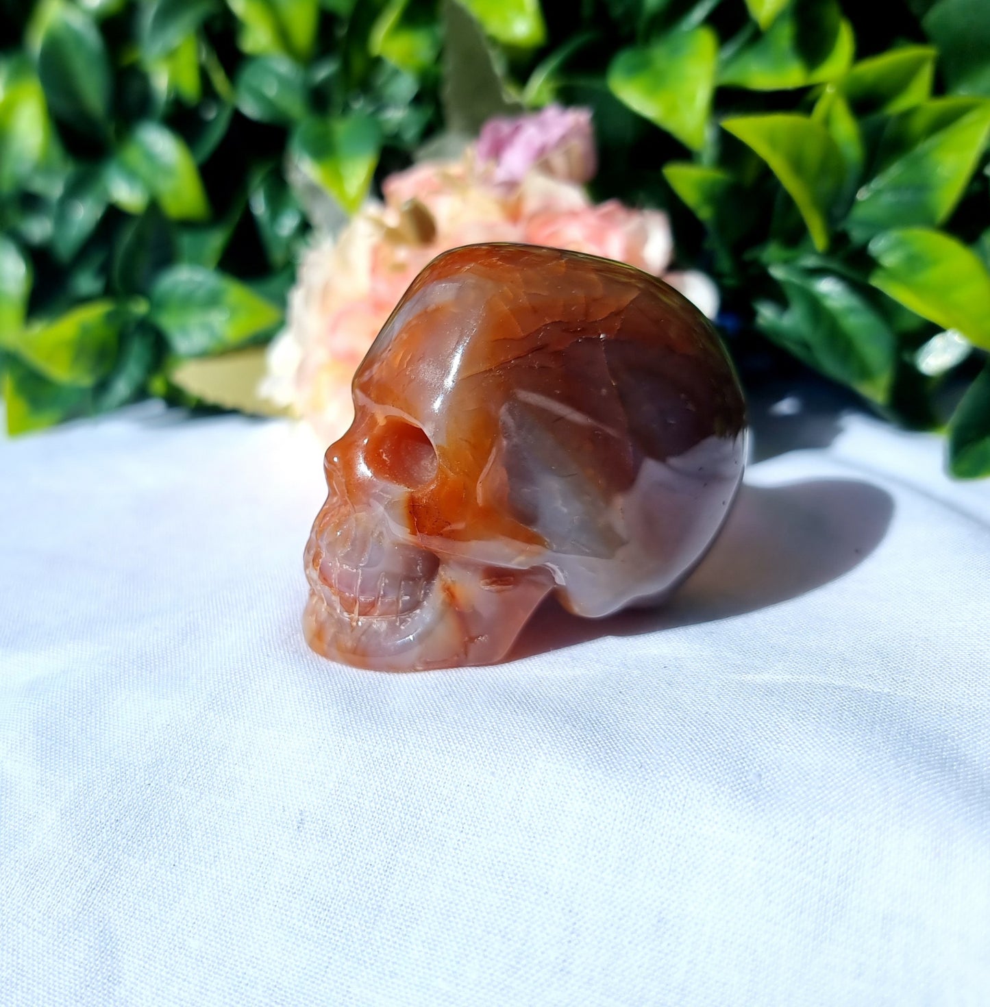 Carnelian Agate Skull