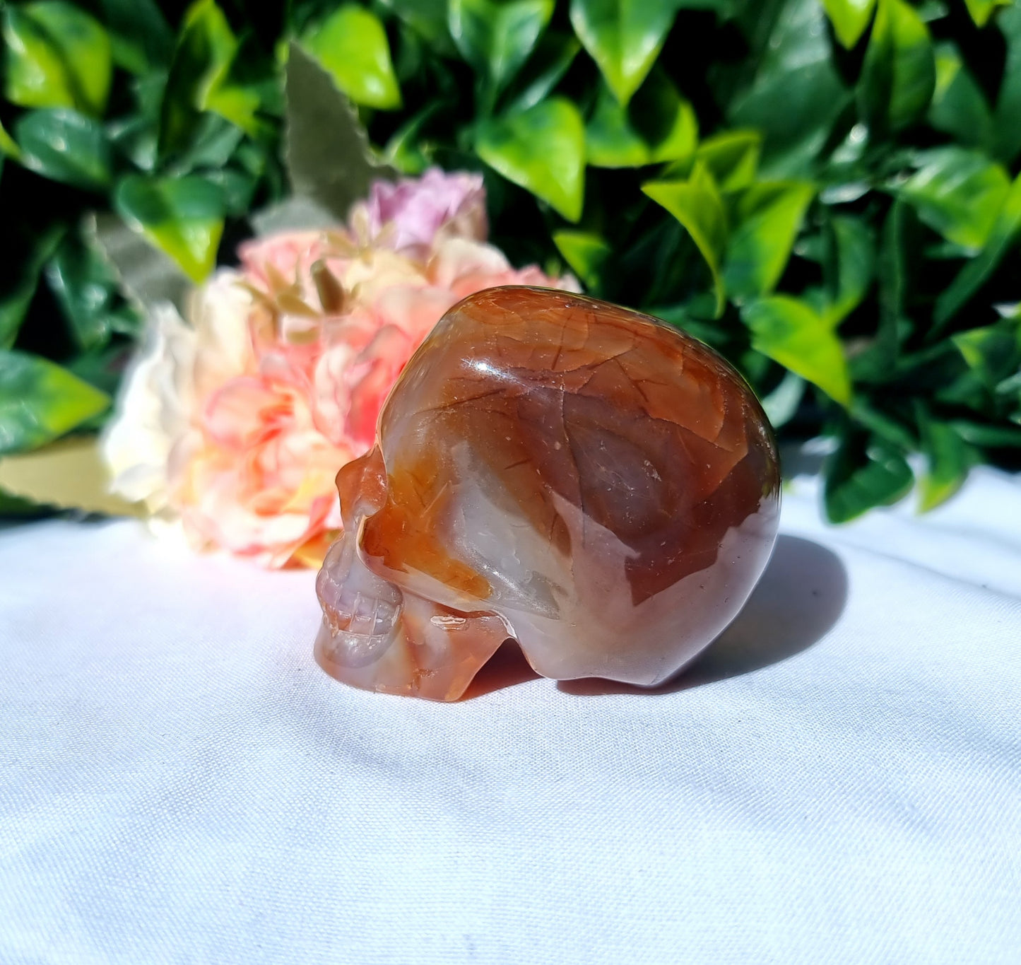 Carnelian Agate Skull