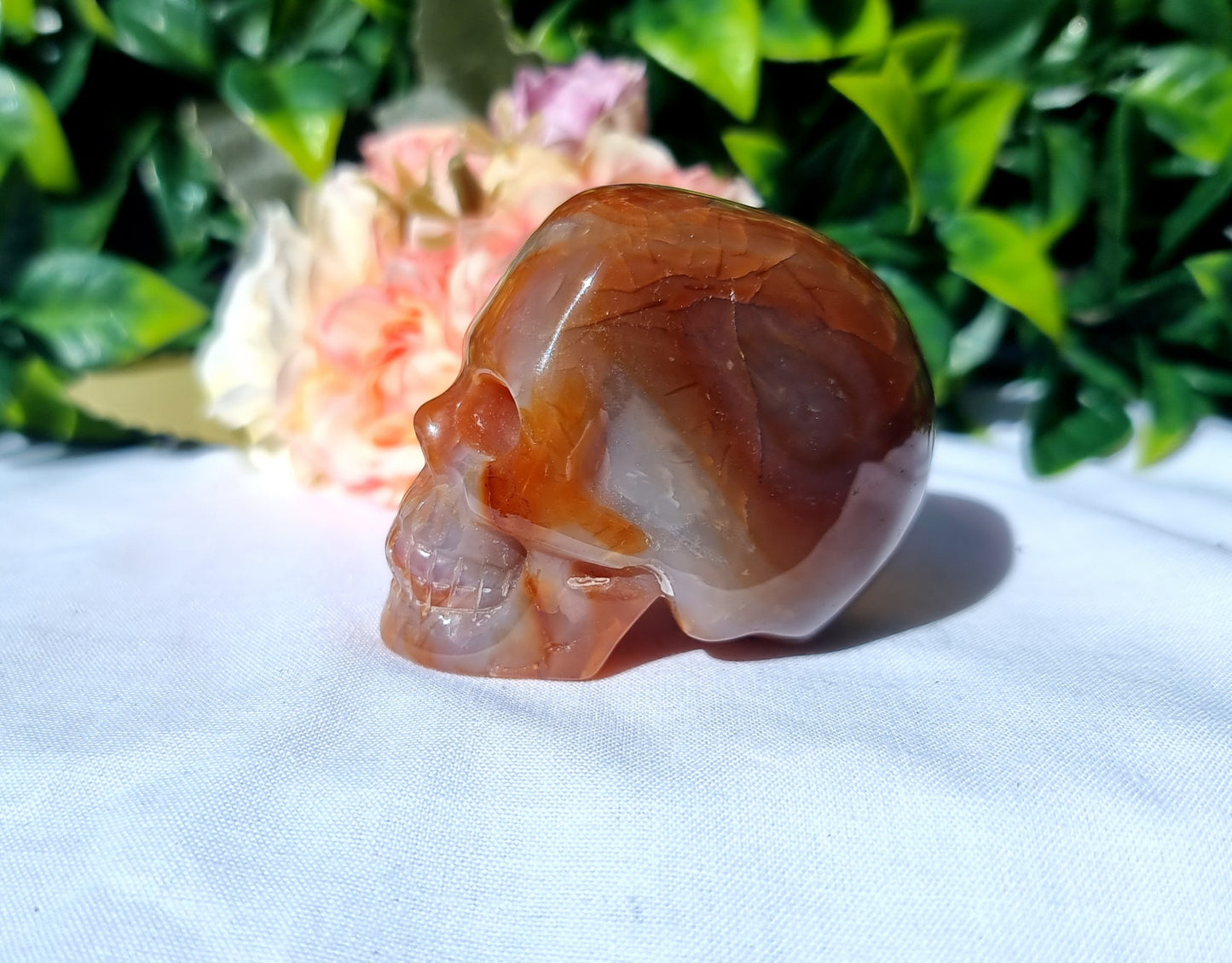 Carnelian Agate Skull