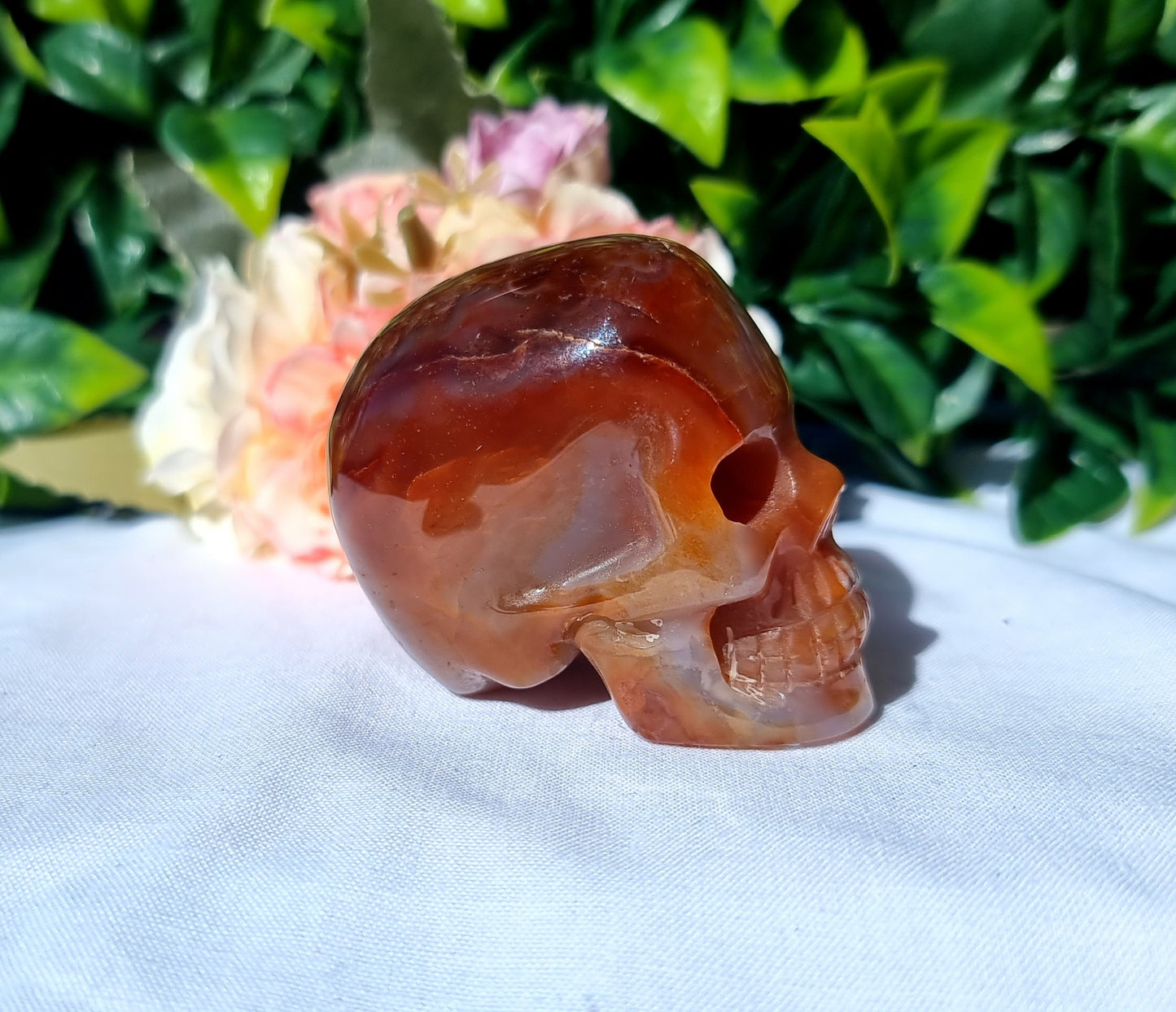 Carnelian Agate Skull