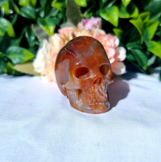 Carnelian Agate Skull