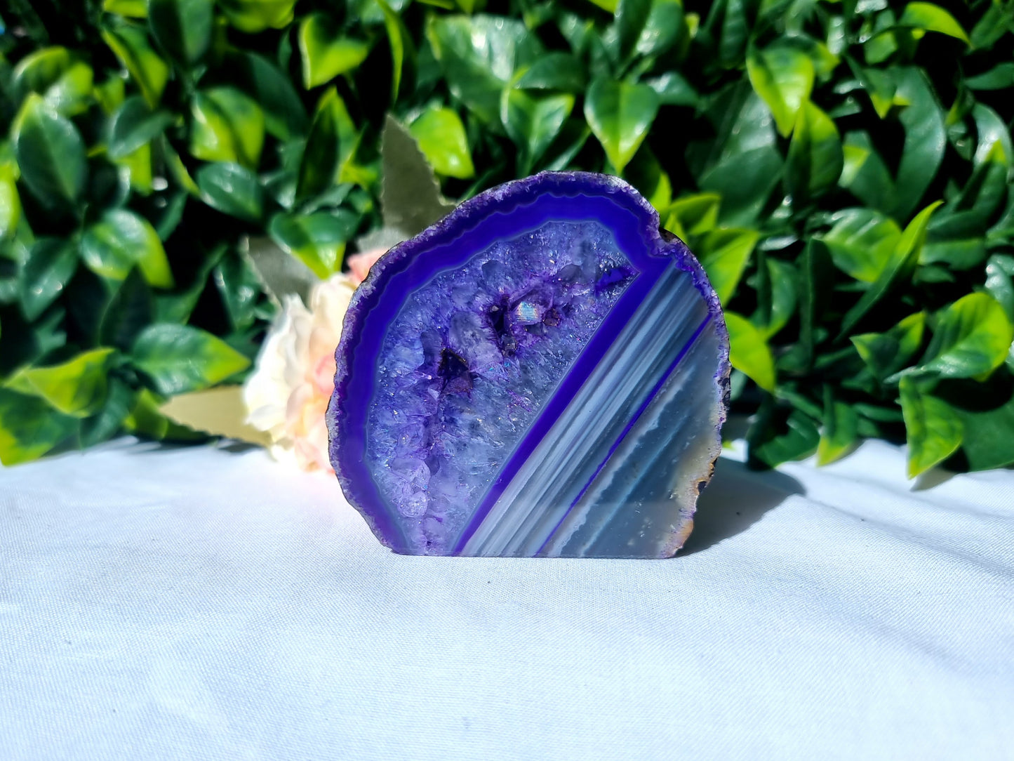 Dyed Purple Agate Free-Form