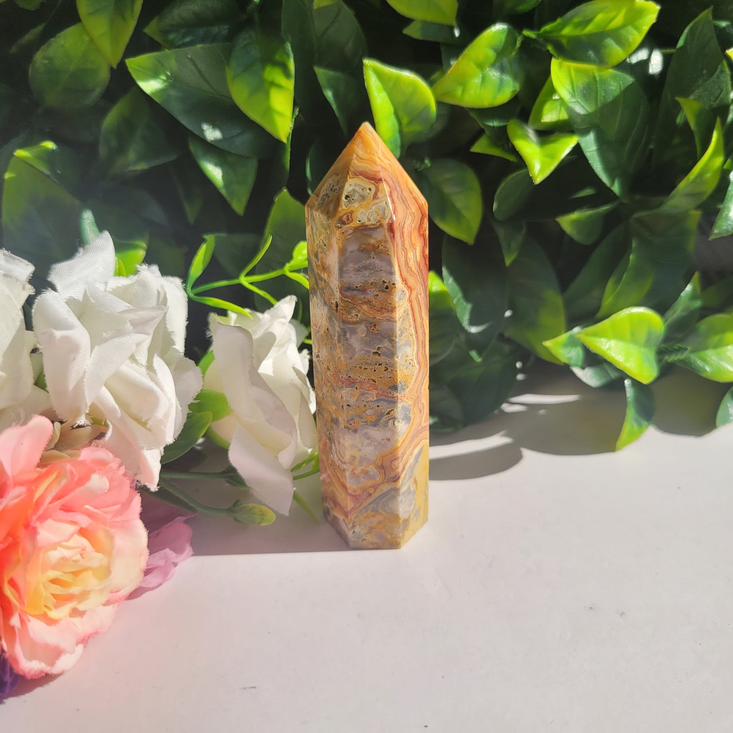 Crazy Lace Agate Point