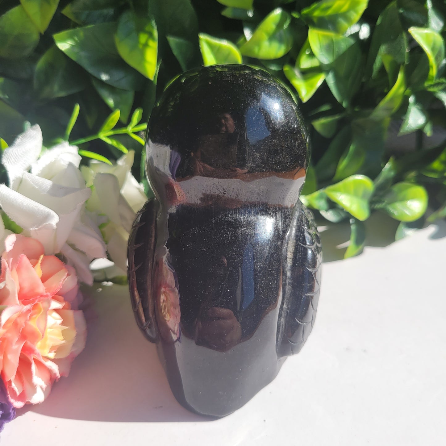 Black Obsidian Bird