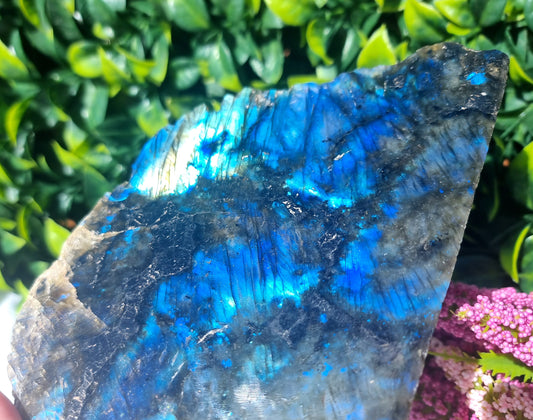 Labradorite Raw/Polished Free-Form