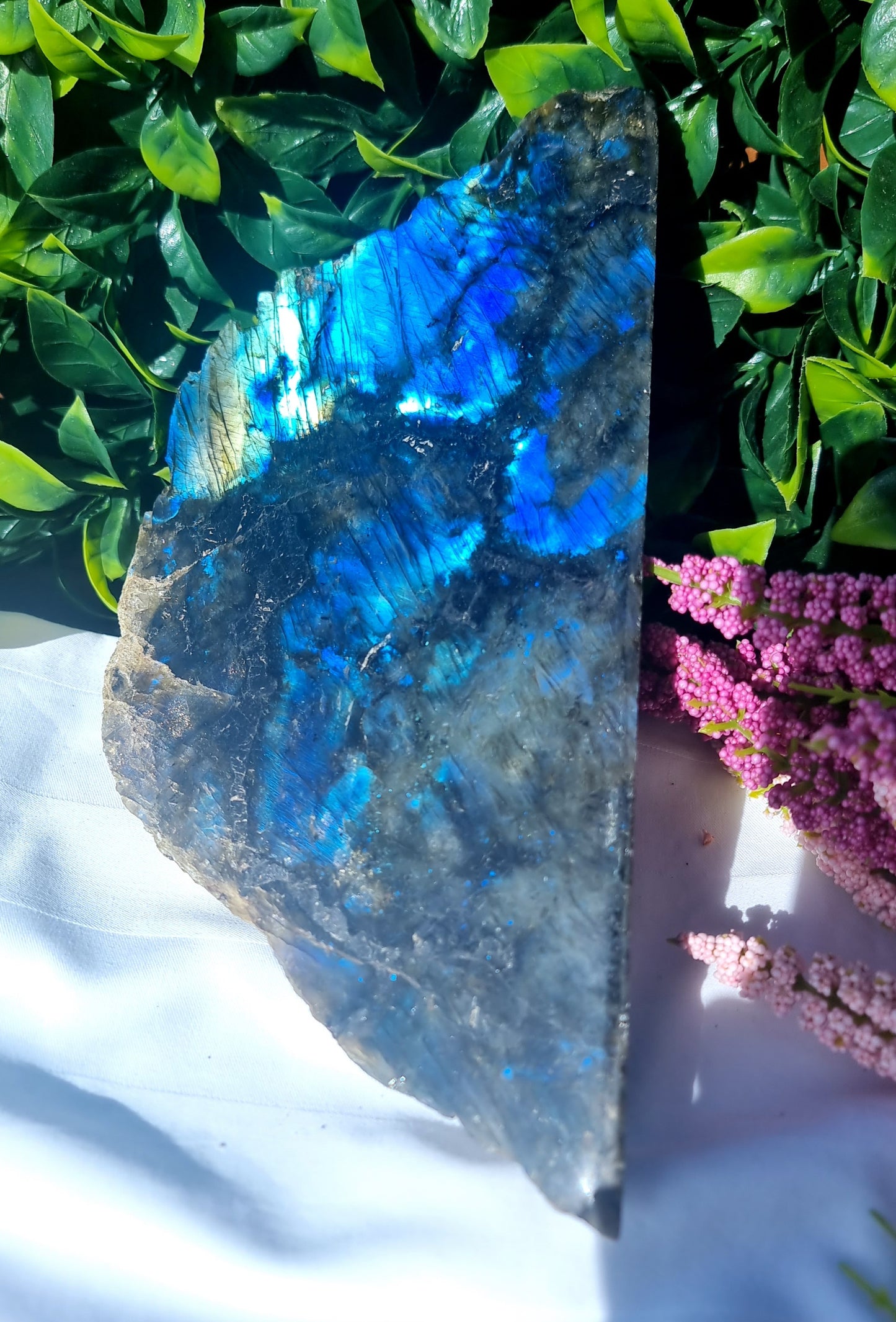 Labradorite Raw/Polished Free-Form