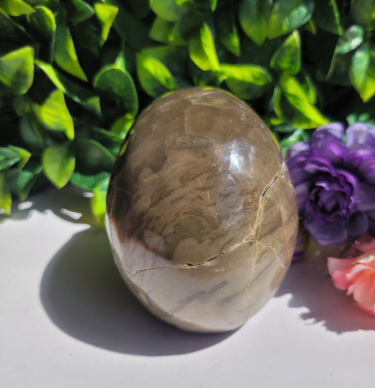 Volcano Agate Skull