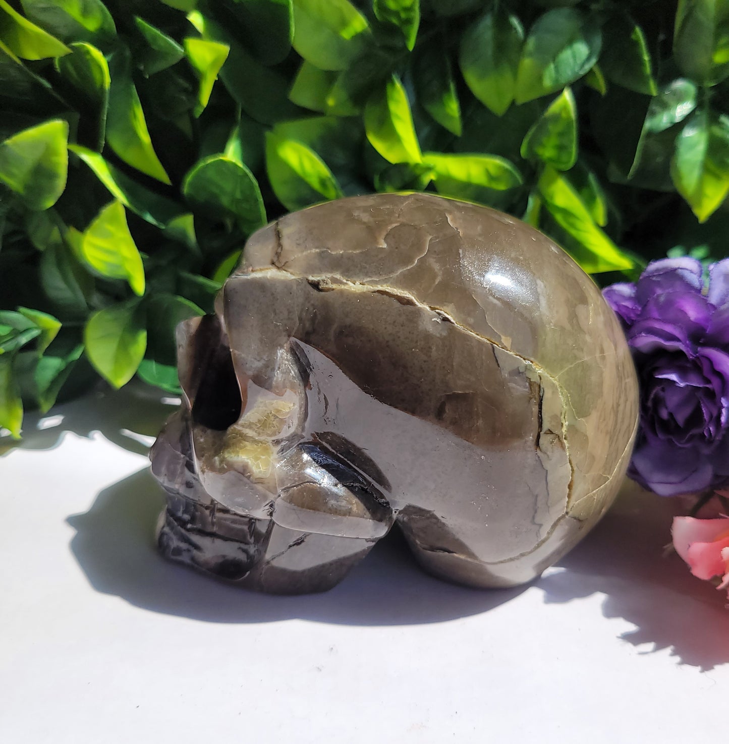 Volcano Agate Skull