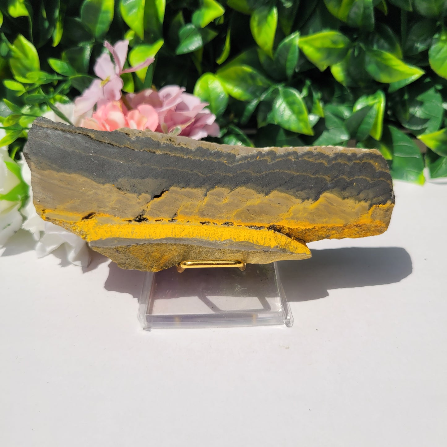 Bumble Bee Jasper Slab