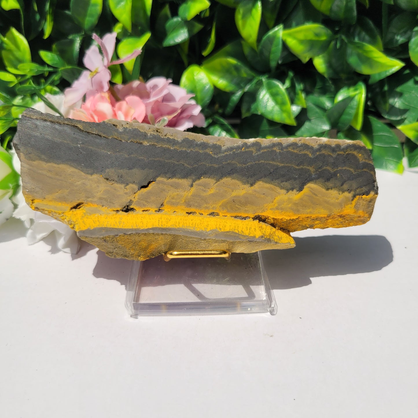 Bumble Bee Jasper Slab