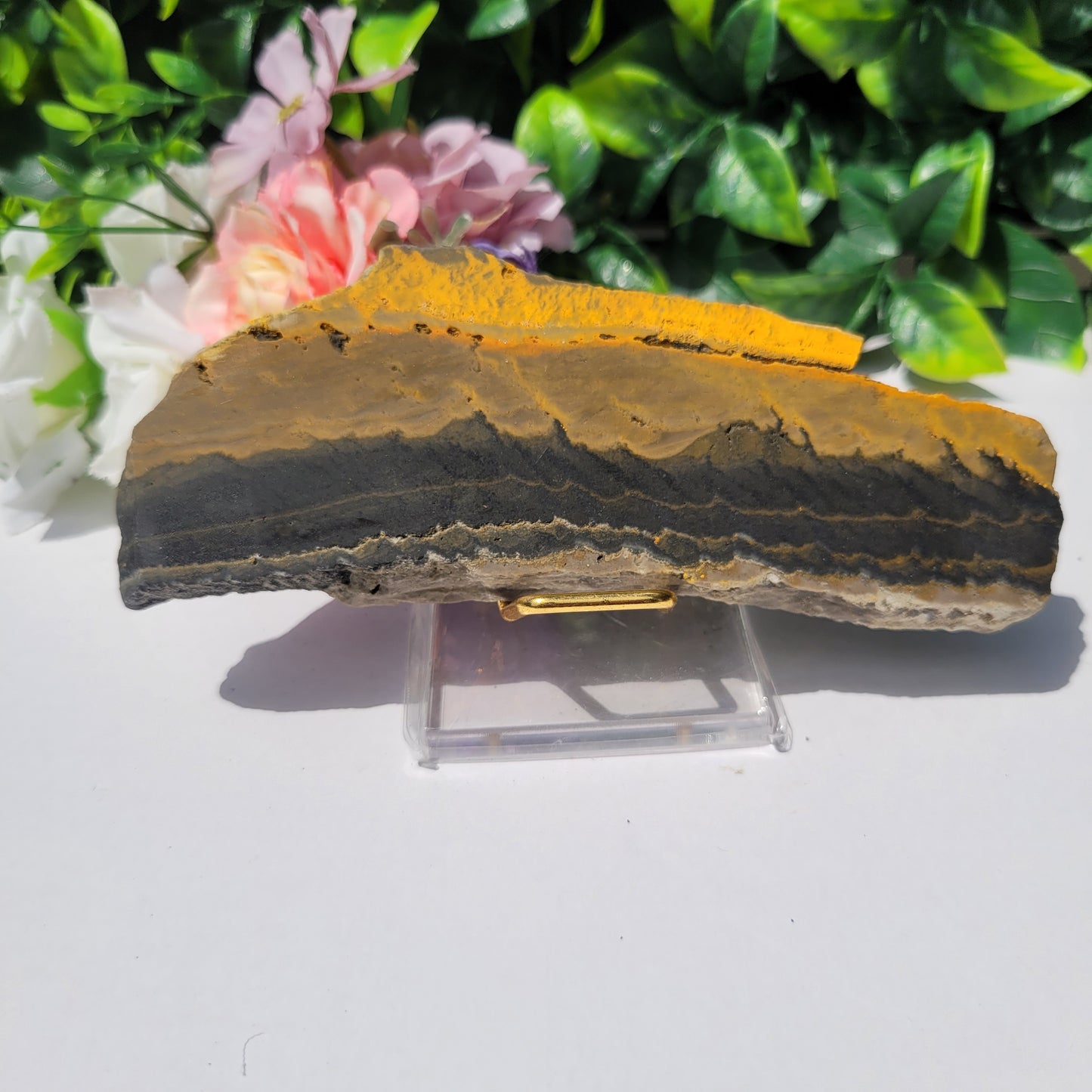 Bumble Bee Jasper Slab