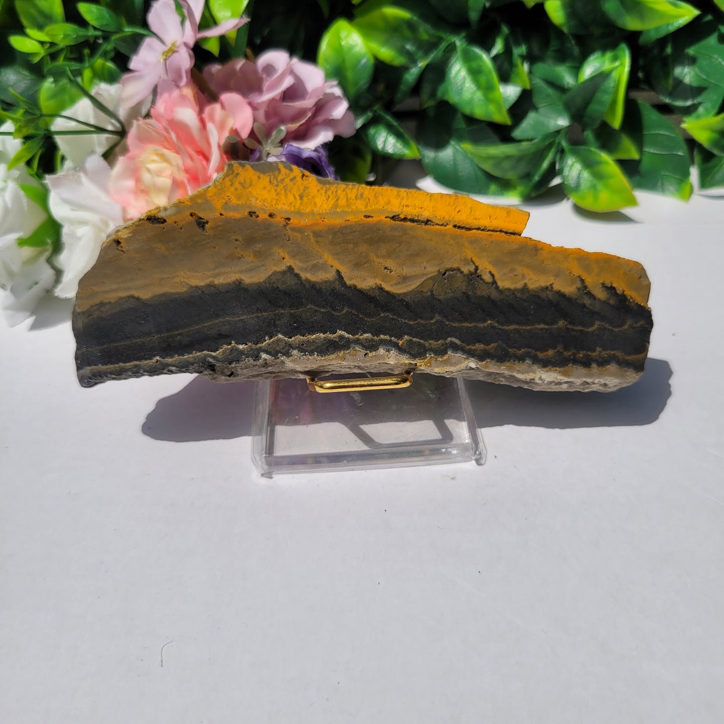 Bumble Bee Jasper Slab