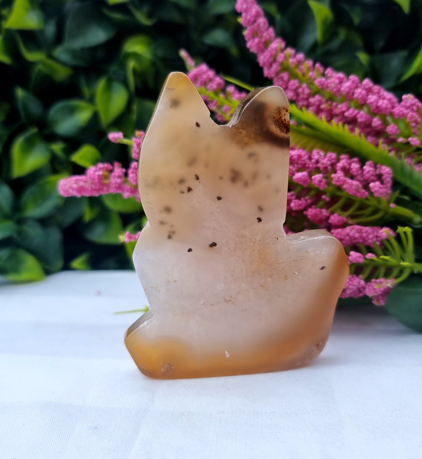 Agate Druzy Cat