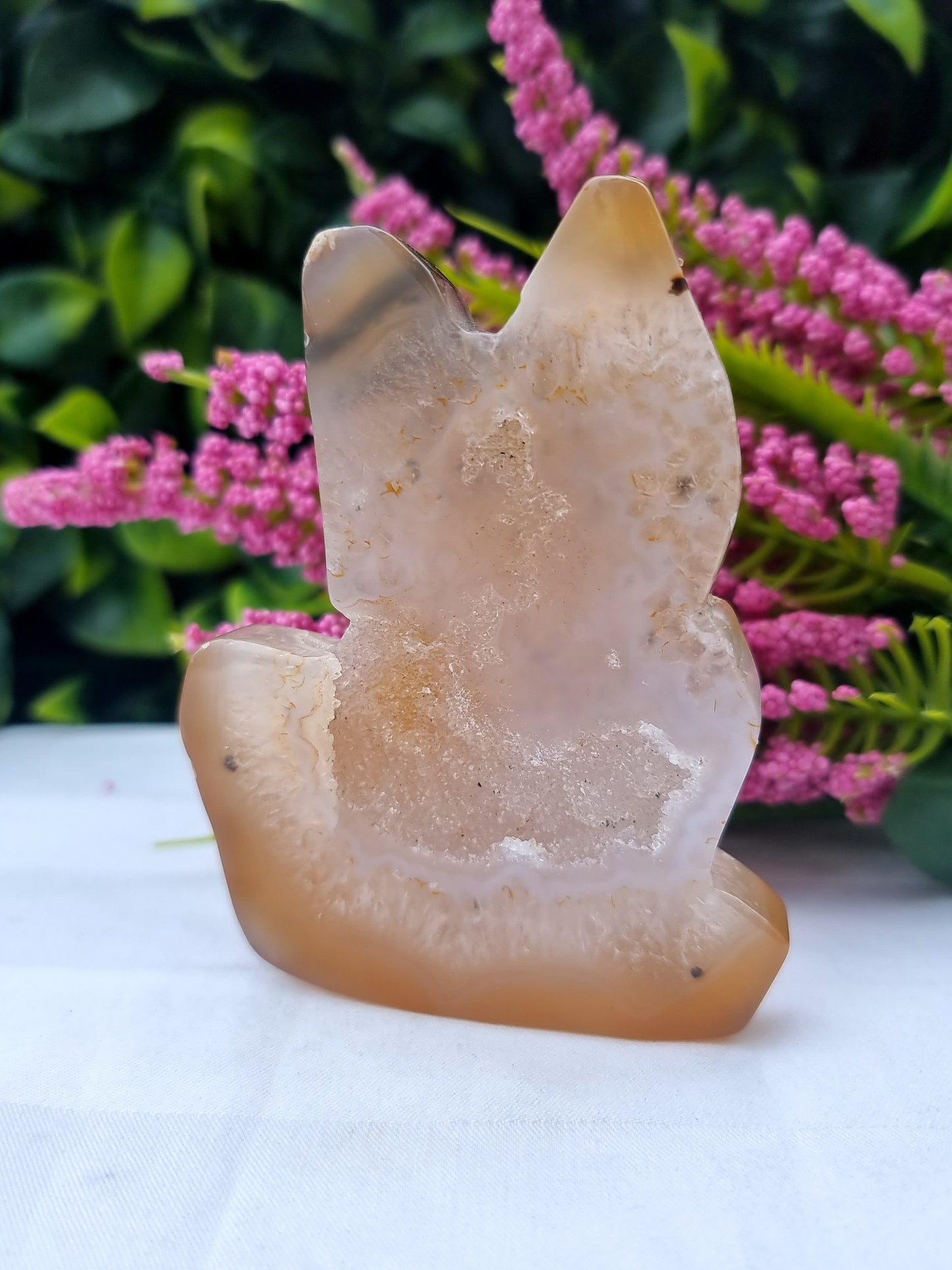 Agate Druzy Cat