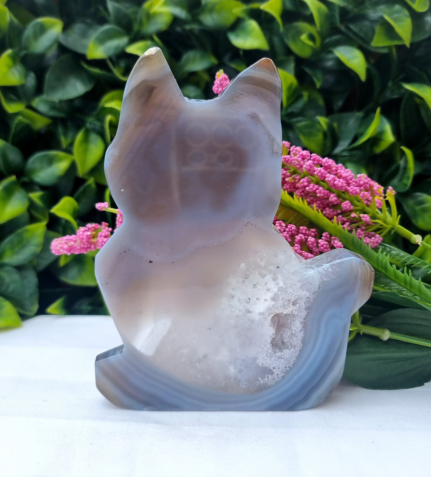 Agate Druzy Cat