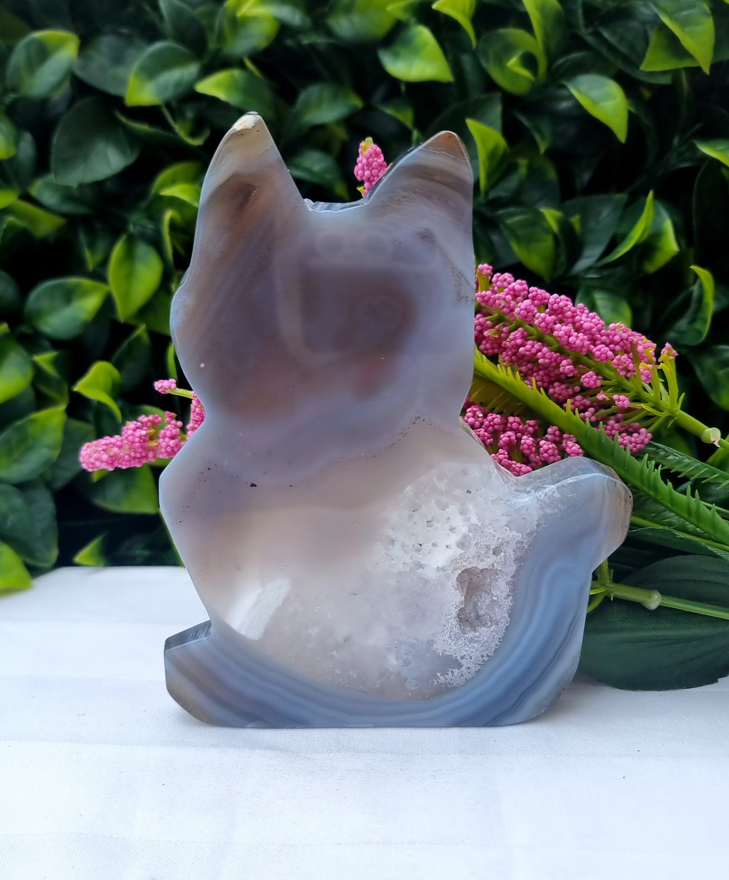 Agate Druzy Cat